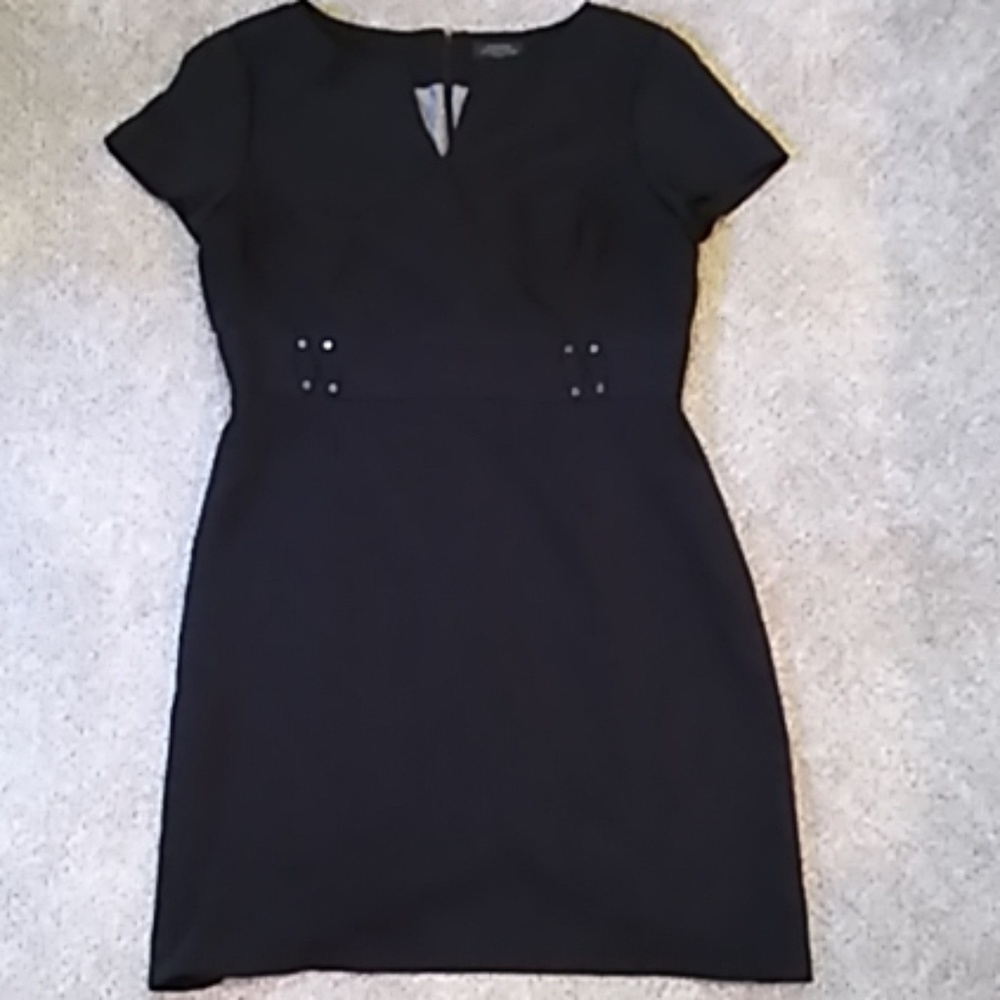 Tahari Pin-Striped Short Sleeve Dress